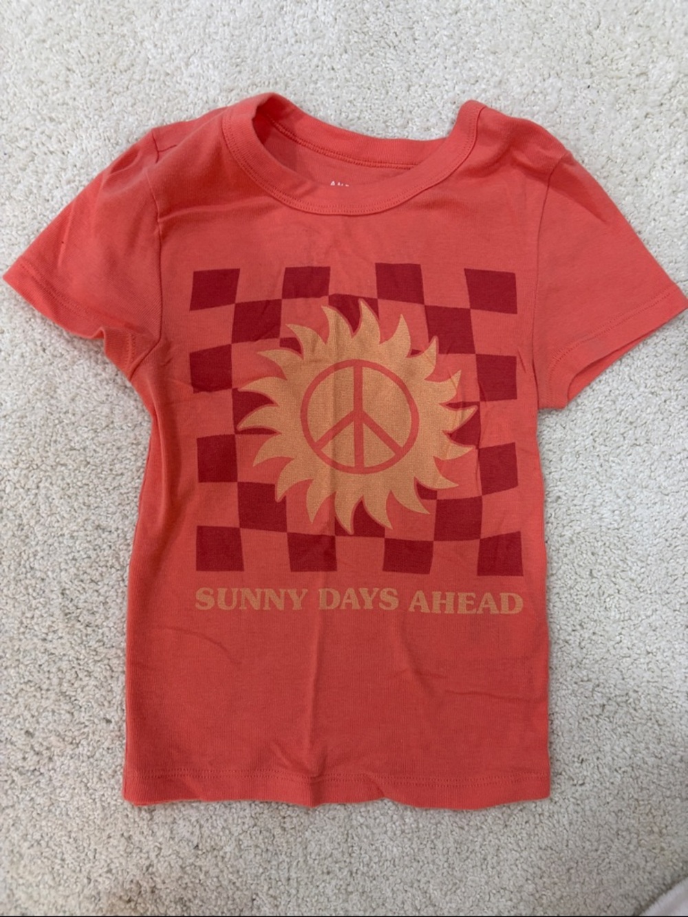 American Eagle Outfitters Orange Graphic Short Sleeve Tee